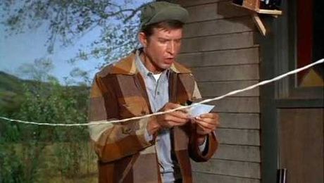 Green Acres S03E19 How to Succeed on TV Without Really Trying
