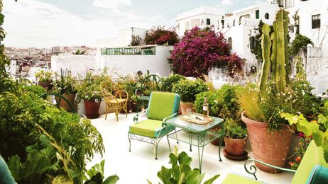 How Designers Are Spending Their Time at Home