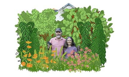 How to Turn Dirt Into Soil