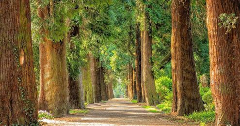 10 Ways to Be Safe and Responsible When Visiting Parks During a Pandemic