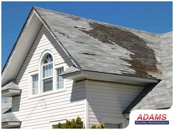 How to Spot and Avoid Storm Chasers