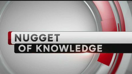 Nugget of Knowledge: Leather grades