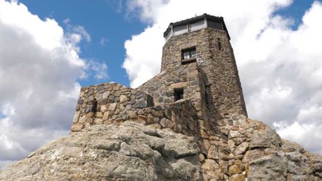 How well do you know the natural history of the Black Hills?