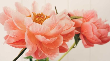 12 Flower Delivery Services That Will Make Your Mom Feel Extra Special