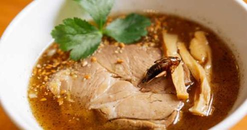 Now you can order insect ramen to eat at home