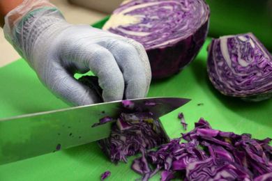 Cut Protection: On the Cutting Edge of Safety