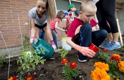 Doctor's Orders: Why you should play in the dirt