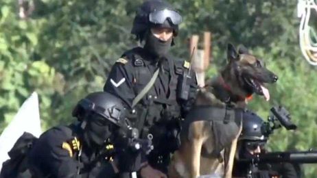 Why the Indian Army needs a K-9 edge