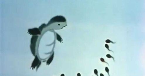 Where is Mama? by Te Wei