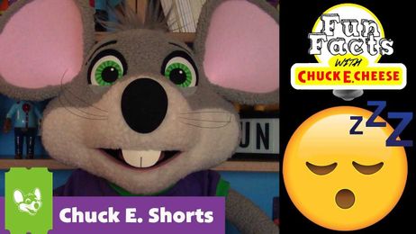 Fun Facts with Chuck E. Cheese "Dreams"