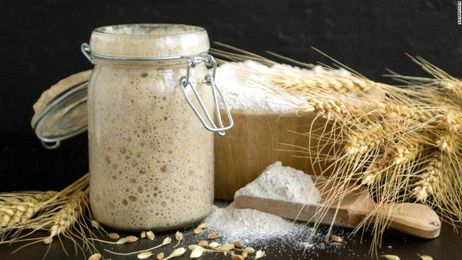 All that sourdough you've been making could help scientists