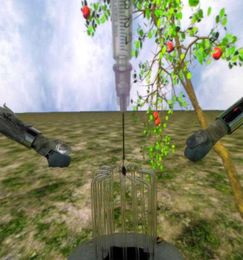 Scientists create video game to unlock how flies navigate