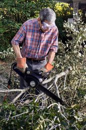 10 Things Outdoor Power Equipment Does That Makes Your Life Better
