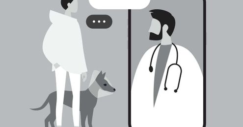 Texting your vet? The future of pet care could be virtual visits
