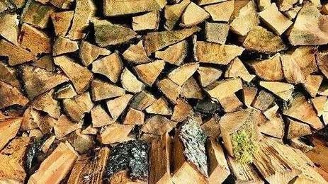 Firewood remains free, but permits now required