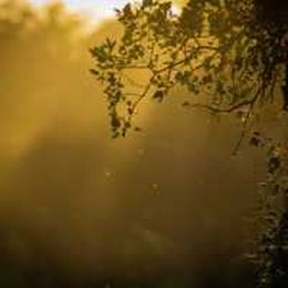 Photo Lighting: Things You Should Know