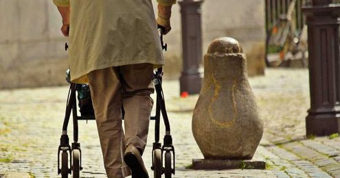 Walker Transport and Their Benefits