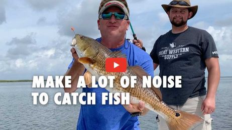 Make Plenty of Noise to Catch Fish