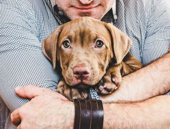 The Truth About Puppy Mills