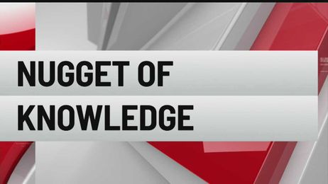Nugget of Knowledge: What you should shred before trashing it