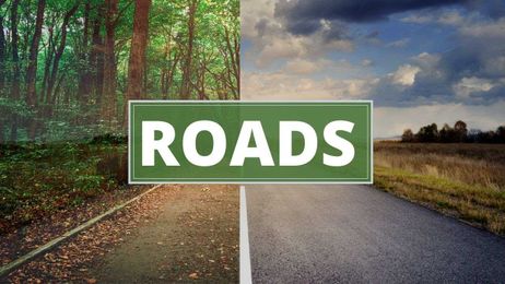 Mongabay Explains: How do roads affect biodiversity in forests?
