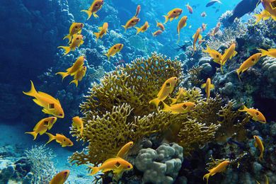 The Benefits of Concrete Reach New Depths