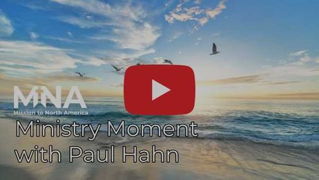 The Wheat and the Weeds 🌾🌾🌾