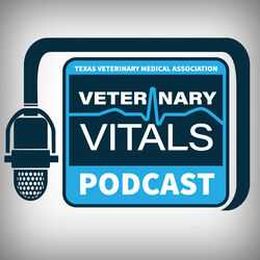Hurdles of Recruiting Rural Veterinarians with Drs. Carol and Joe Hillhouse