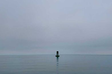 How to Cook a Lobster