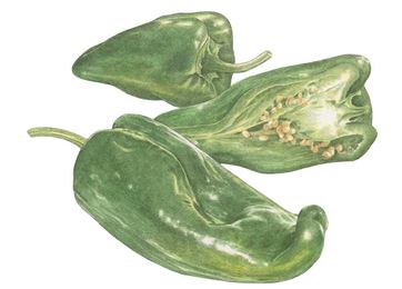Why You Should Be Cooking with Poblanos