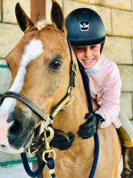 Ponies, Pencils and Preservation