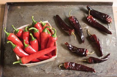 Gardening: Debunking hot peppers myths
