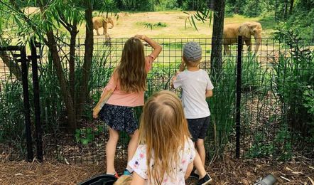 What's new at the Birmingham Zoo? We found out