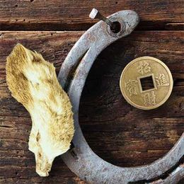 Lucky Symbols and How To Use Them