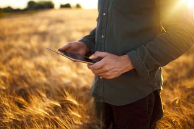 How Digital Farming Is Nurturing an Ecosystem for the Ecosystem