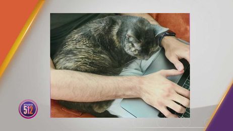 Tofu Is Looking For Her ‘Fur-Ever’ Home