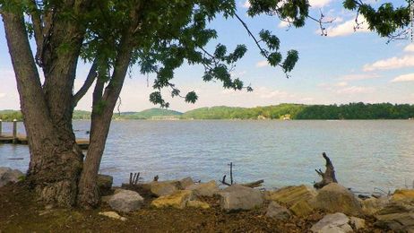 Get paid $1,000 to digitally detox in nature