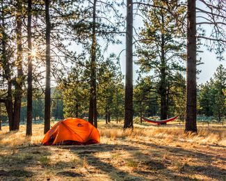 Campground Critters: A Natural and Personal History
