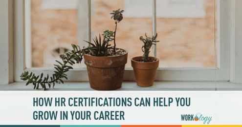 How HR Certifications Can Help You Grow In Your Career