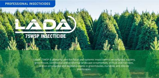 Fall Horticulture + Savings for Now and Later