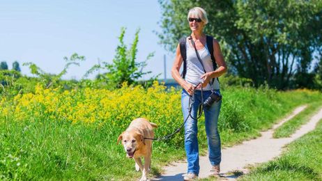 Botanical Gardens--The Hidden Gems of Pet-Friendly Activities