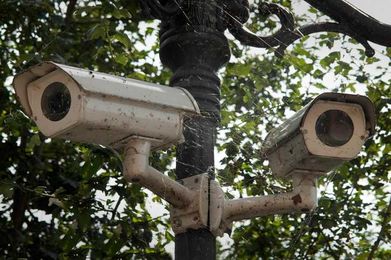 Keep Your Security Cameras Free of Insects