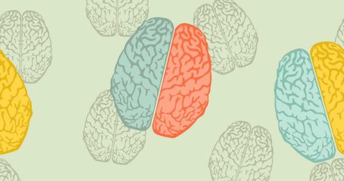 What Do Software Consultants Actually Do?