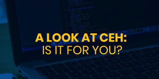 A Look at CEH: Is It For You?