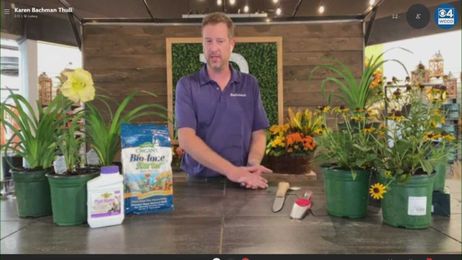 Dividing Your Perennials Should Keep Them Healthy