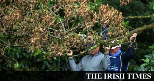 Johnny Watterson: Sometimes it seems that the rules are just for suckers