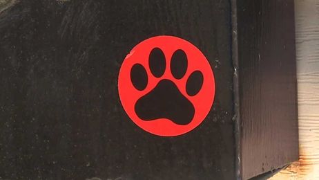 Using stickers to prevent dog attacks