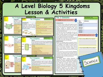 A Level Biology 5 Kingdoms Lesson & Activities