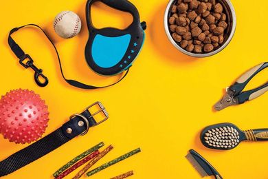 Home and Garden: Storage solutions for pet supplies