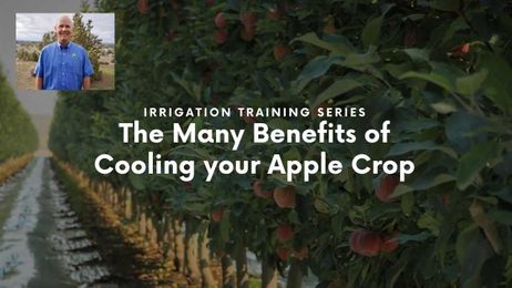 The Many Benefits of Cooling your Apple Crop Webinar